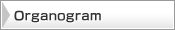 organogram